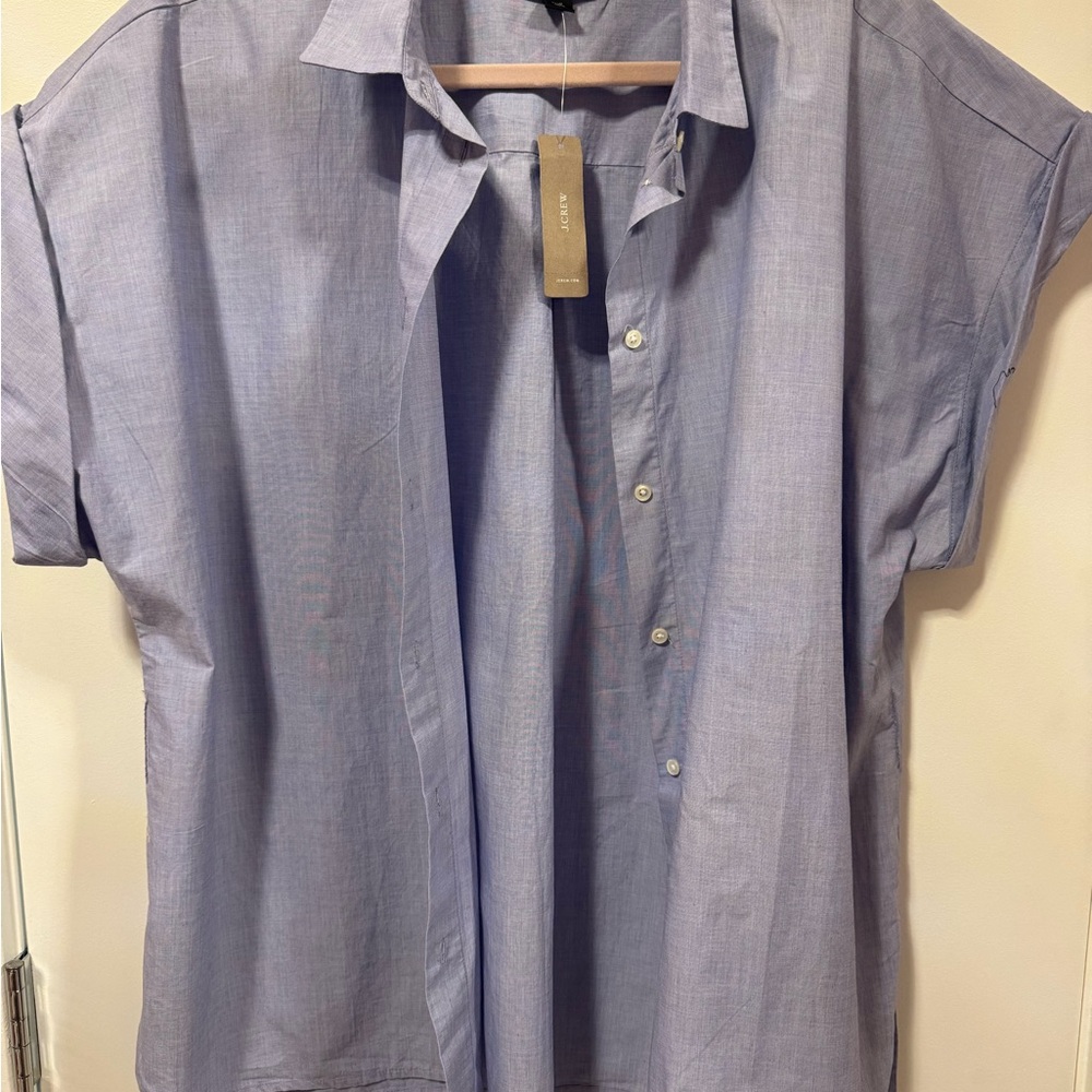 J. Crew Casual Light Blue Button Down Shirt